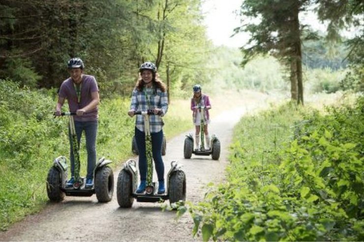 Grizedale Forest