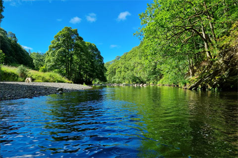 Wild Swimming